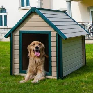 Pet House